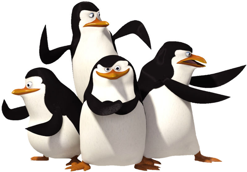 Файл:800px-Madagasca Penguins.jpg