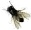 Bzzz.png
