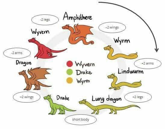 Файл:Dragon-Classification.jpg