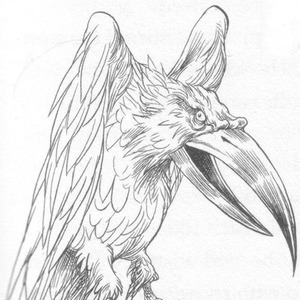 Файл:Edgechroniclesravens.jpg