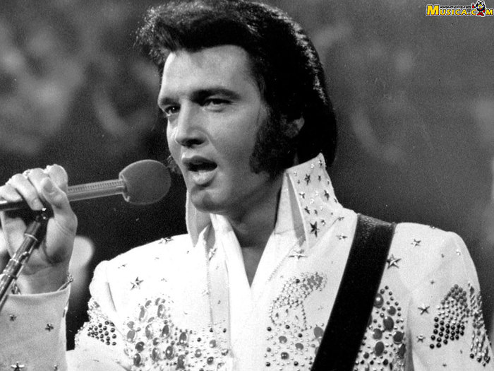 Файл:Elvis.jpg