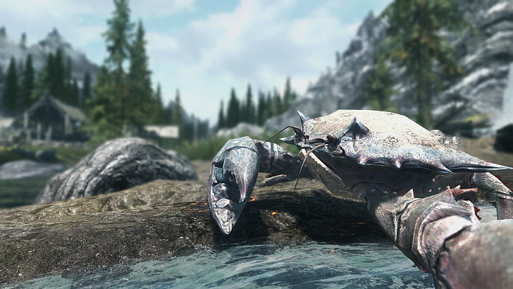 Файл:Mudcrab.jpg