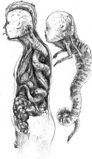 Файл:Parasitic Daemite concept art.jpg