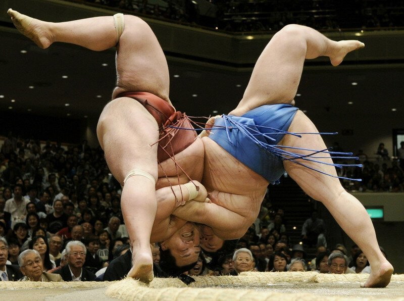 Файл:Sumo.jpg