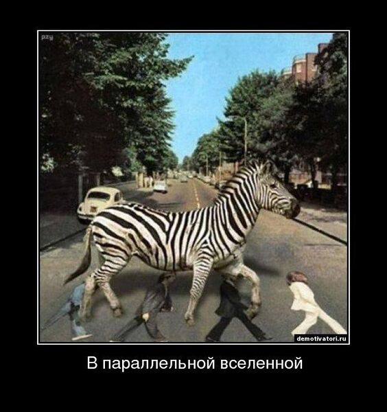 Файл:Битлы и зебра.jpg