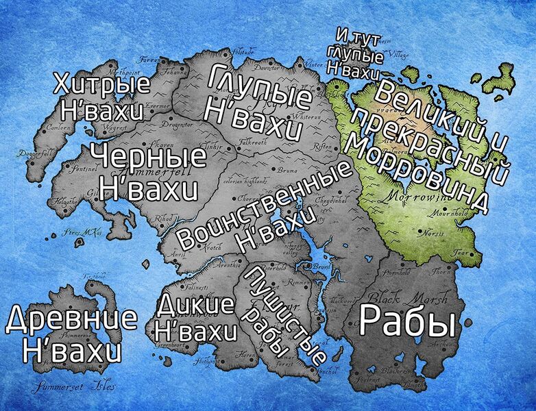 Файл:Данмерский Расизм.jpg