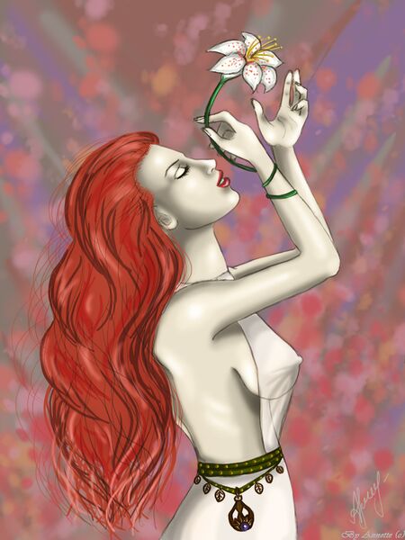 Файл:Дибелла от Annette.jpg