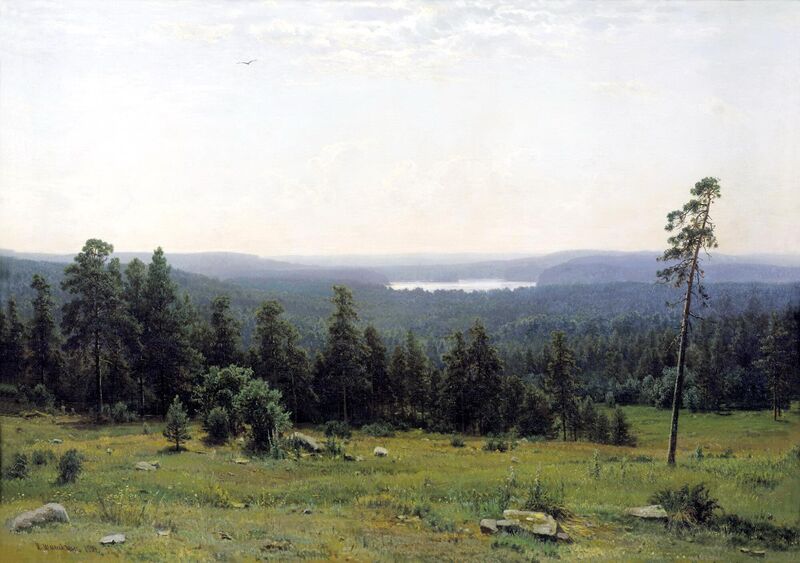 Файл:Лесные дали Шишкин 1884.jpg