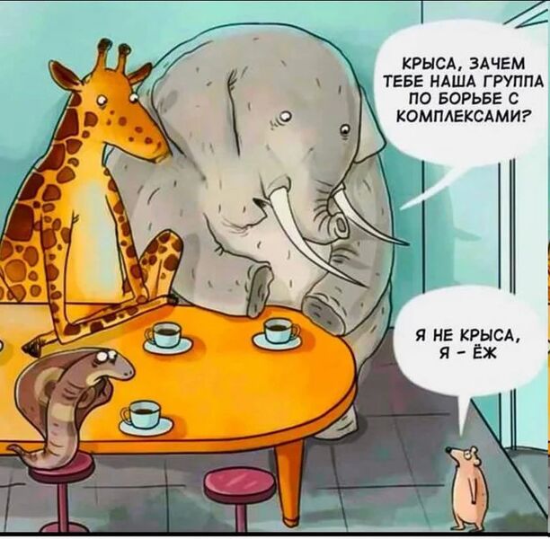 Файл:Лысый ёж.jpg