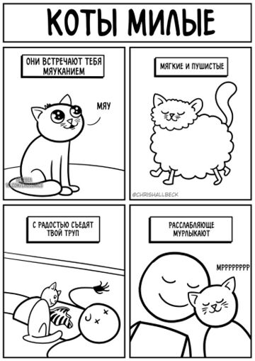 Милые котики.jpg