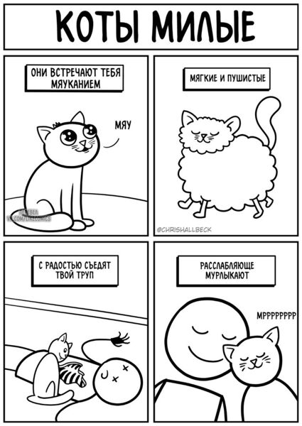 Файл:Милые котики.jpg