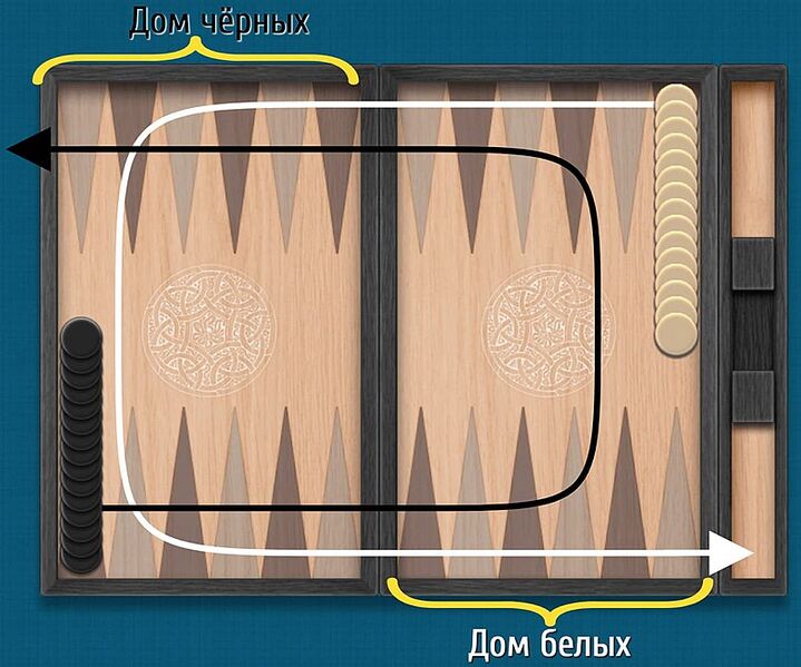 Файл:Направление хода длинных нард.jpg