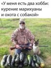 Охота на кабачки с котом.jpg