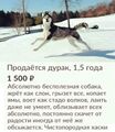Миниатюра для версии от 14:33, 25 июня 2023