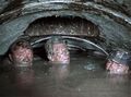 Миниатюра для версии от 18:33, 12 ноября 2022