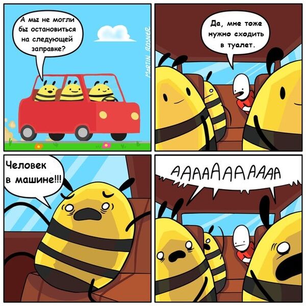 Файл:Человек в машине.jpg