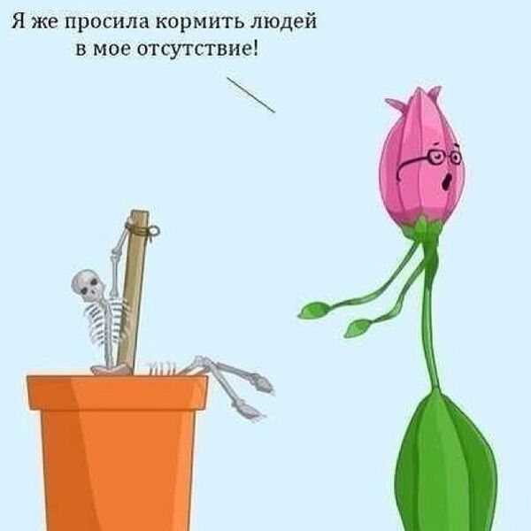 Файл:Человек увял.jpg