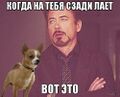 Миниатюра для версии от 21:06, 9 ноября 2022