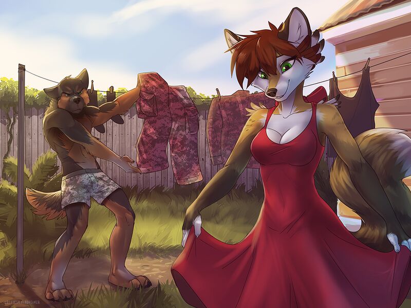 Файл:1492625250.koul reddress.jpg