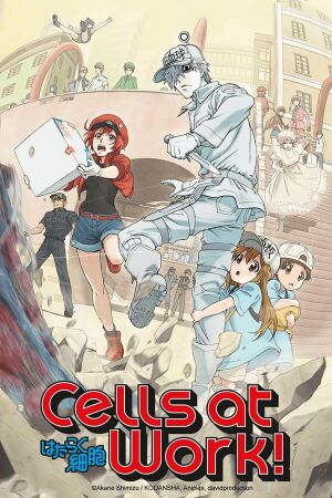 166389-cells-at-work.jpg
