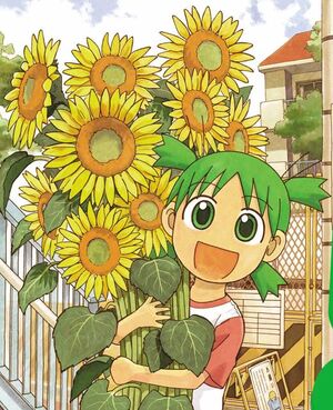2697775-yotsuba koiwai.jpg