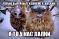 Миниатюра для версии от 18:00, 26 октября 2023