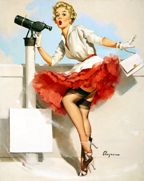 50s pin up enjoy the view.jpg