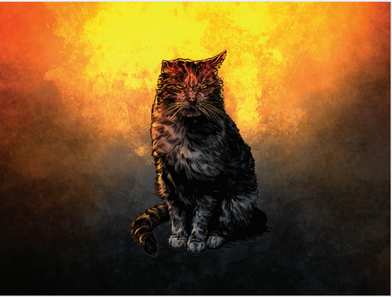 Файл:Abvari Cat.png