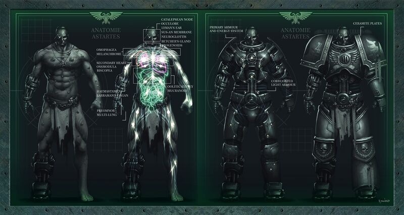Файл:Adeptus Astrates diagramm.jpg