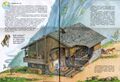 Миниатюра для версии от 21:05, 11 июня 2022
