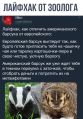 Миниатюра для версии от 17:37, 3 октября 2022