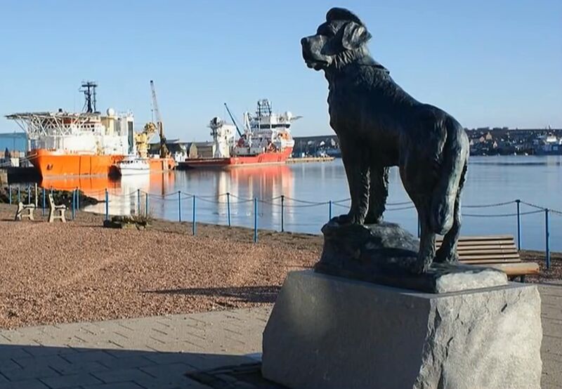 Файл:Bamse.jpg