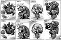 Bearly on top.jpg