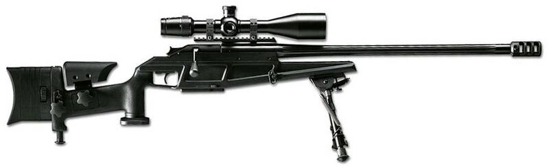 Файл:Blaser93SniperRifleA.jpg