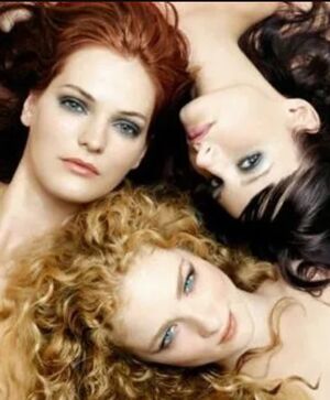 Blonde Brunette Redhead.jpeg