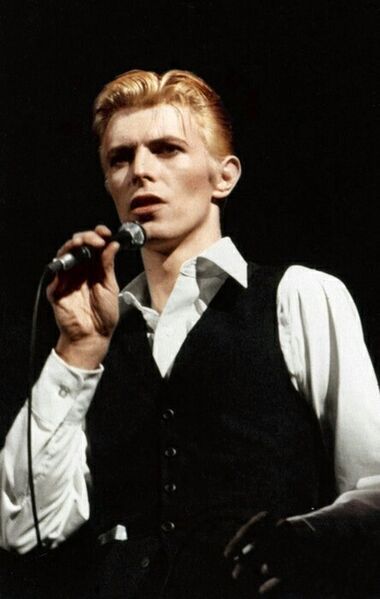 Файл:Bowie-white-duke.jpg