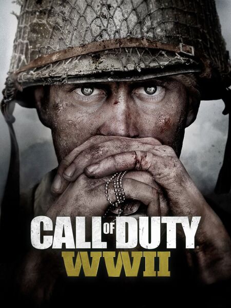 Файл:CODWWII.jpg