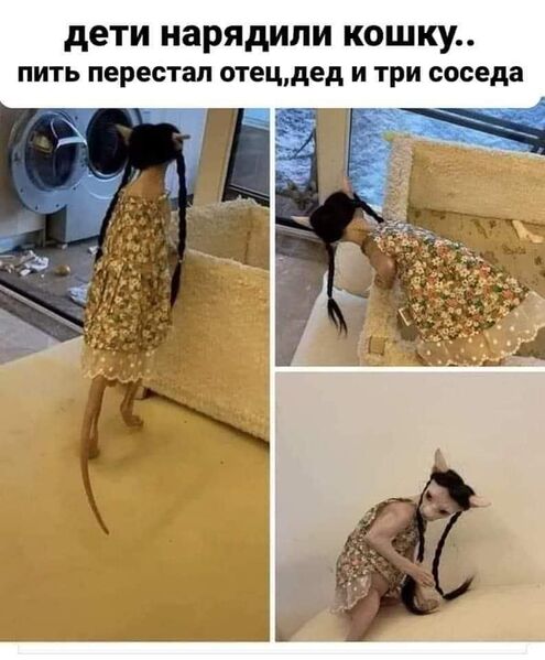Файл:Cat-Girl IRL.jpg