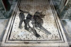 Cave canem.jpg
