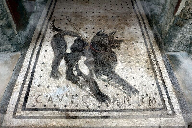Файл:Cave canem.jpg