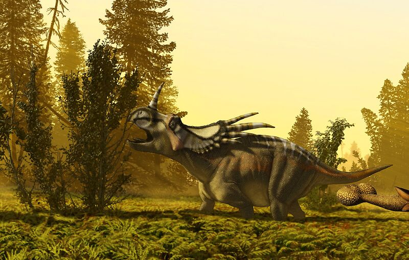 Файл:Ceratops.jpg