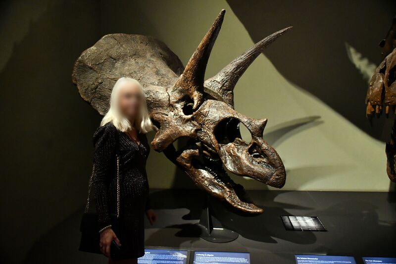 Файл:Ceratops museum.jpg