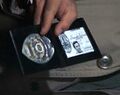 Миниатюра для версии от 18:02, 24 мая 2022