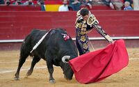 Corrida.jpg