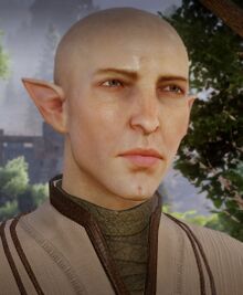 DAI Solas.jpg