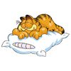 Decorative-vinyl-garfield-sleeping.jpg