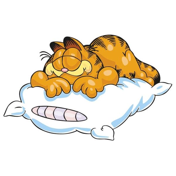 Файл:Decorative-vinyl-garfield-sleeping.jpg