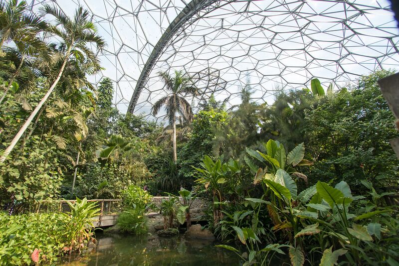 Файл:EdenProject dome interior.jpg