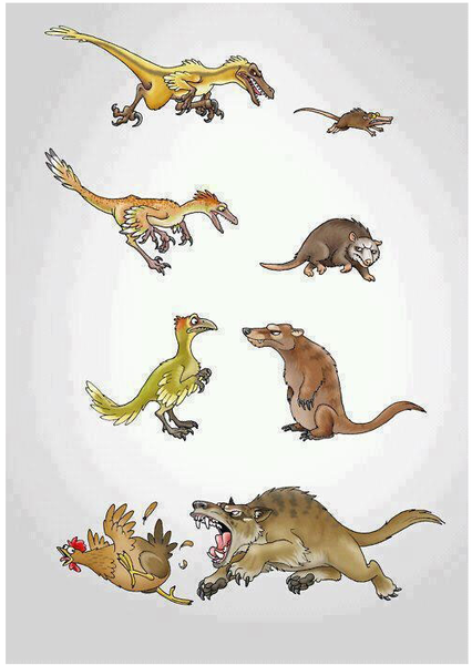 Файл:Evolution-Dinosurs-Mamals-Birds-Chicken.png