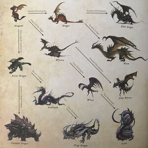 Ff14dragons.jpg